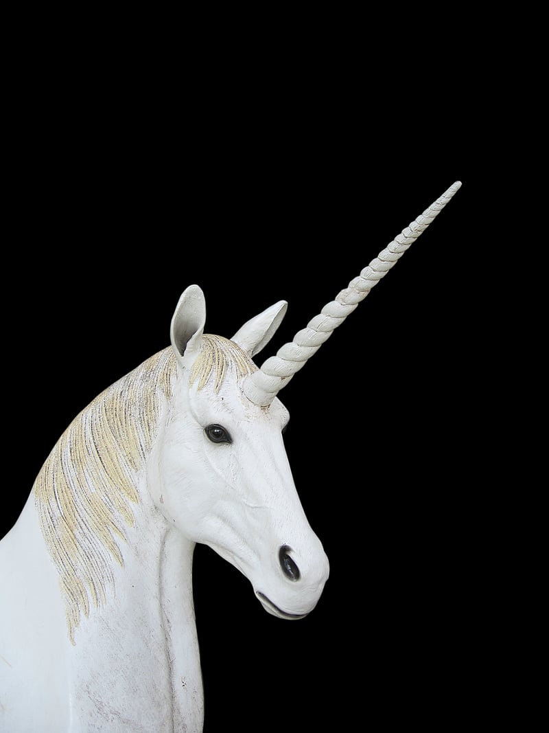 Fantasy Unicorn