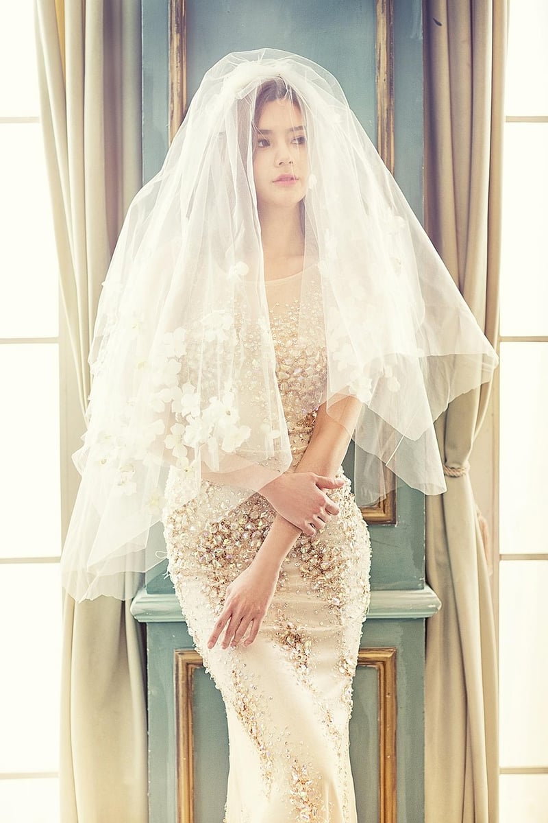 Elegant Veil